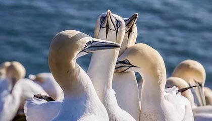 襄垣伴游，定制QQ：3494206190微信：act1322